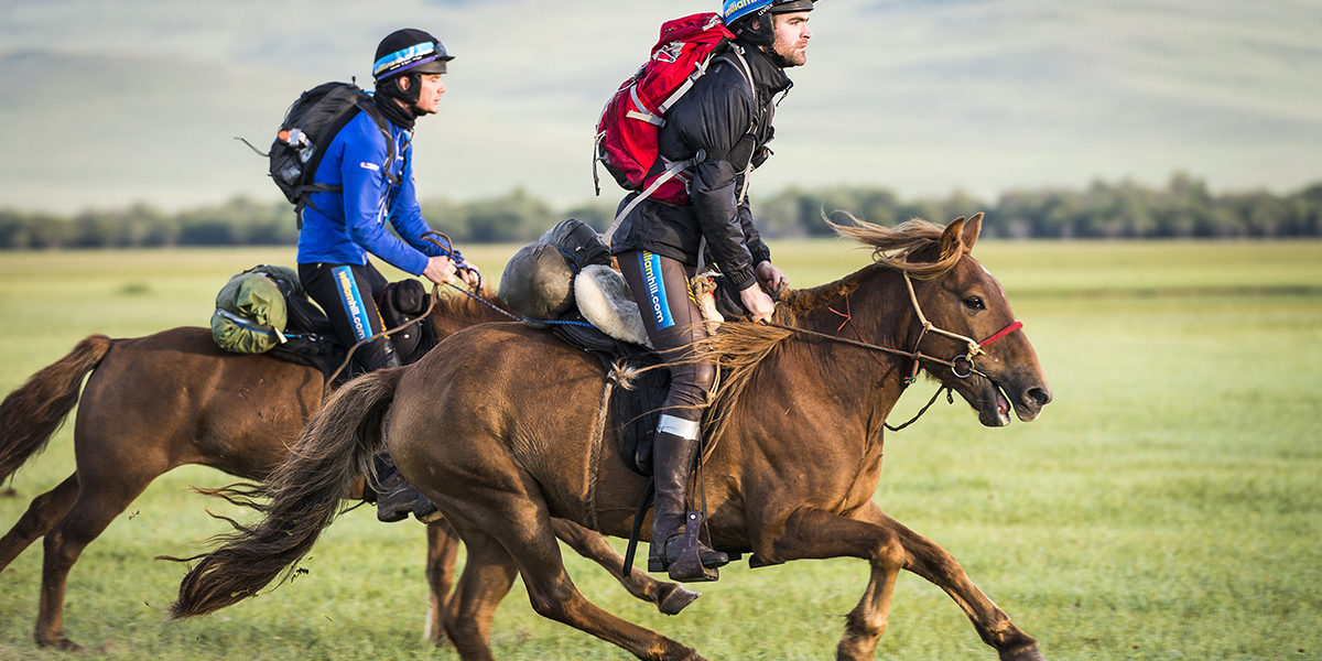 All-the-Wild-Horses-1200 All the Wild Horses